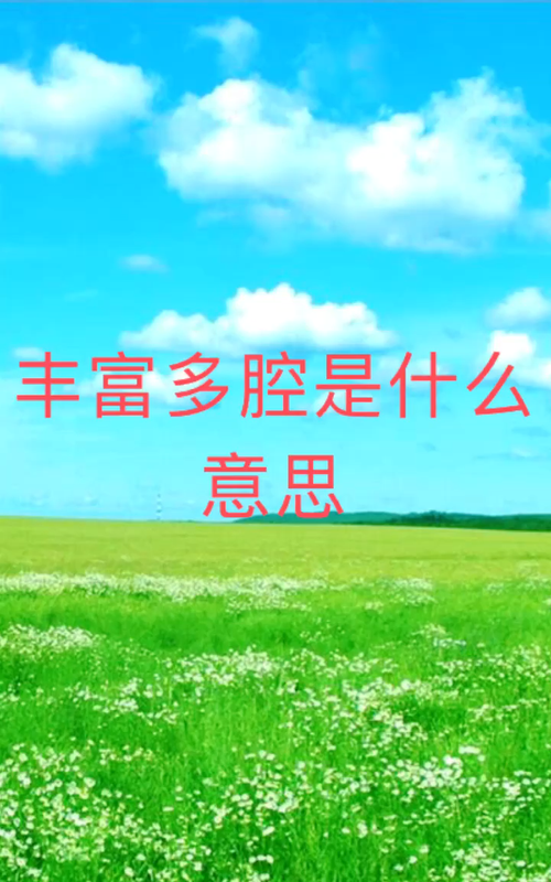 丰富多腔是什么意思解释成语