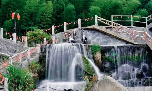 岳阳樱花园在哪里,湖南哪里樱花最多图3