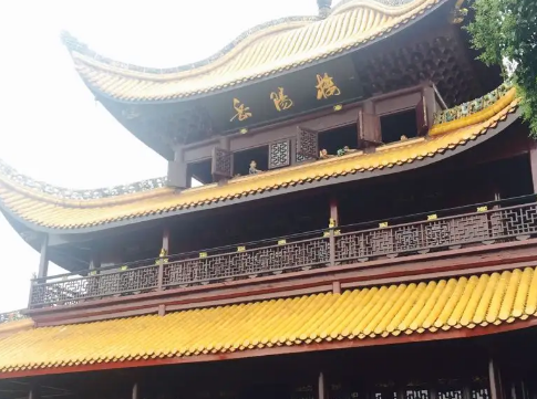 岳阳樱花园在哪里,湖南哪里樱花最多图2