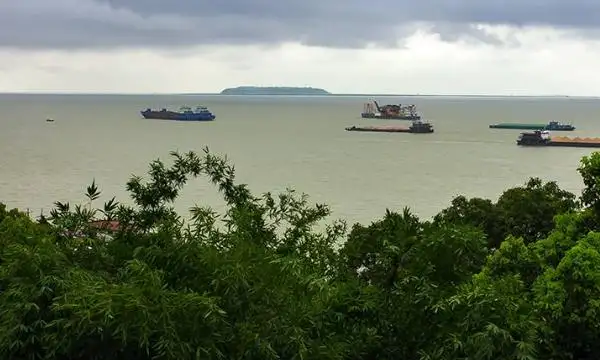 岳阳樱花园在哪里,湖南哪里樱花最多图4