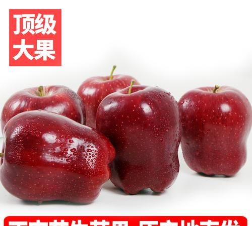 花牛苹果是红星苹果吗