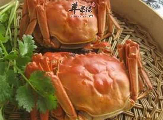 大螃蟹蒸多久能熟一斤