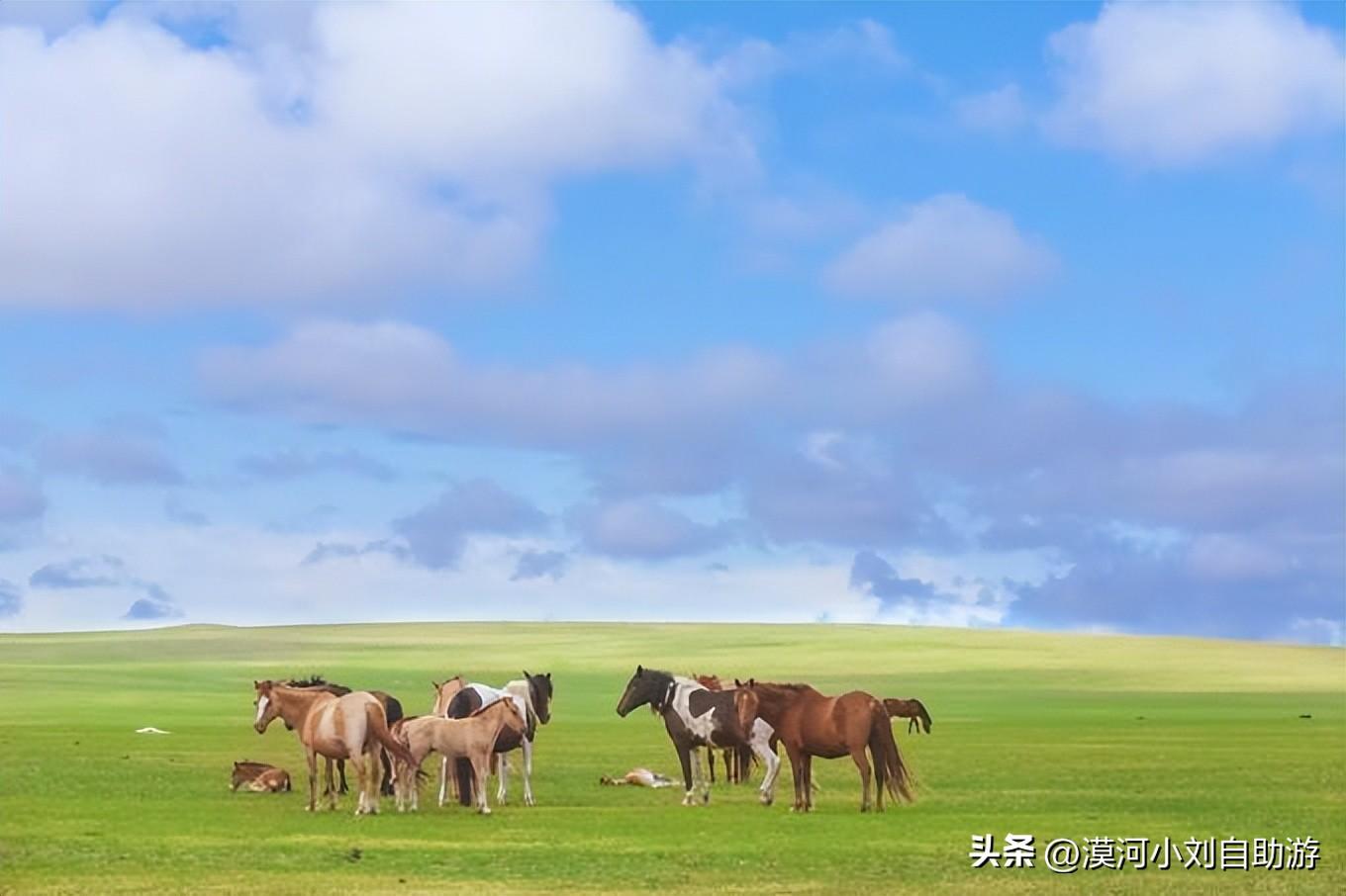 呼伦贝尔旅游景点攻略(呼伦贝尔旅游必去景点有哪些)