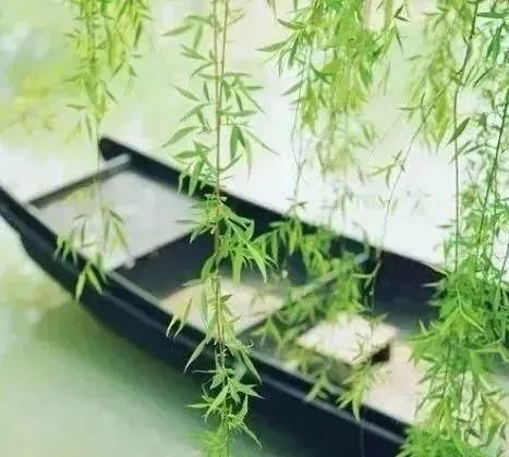 四大发明都有什么，中国四大发明有什么？图4