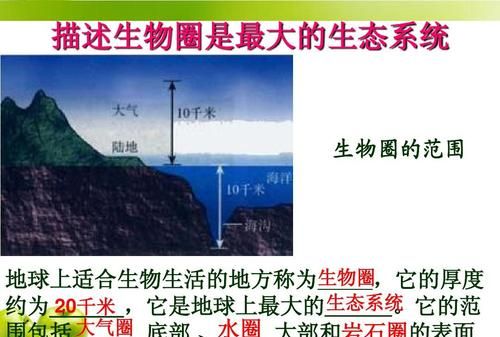 生物圈的范围包括什么的底部