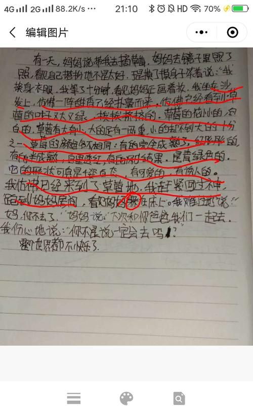 期待落空用上语言动作神态描写200