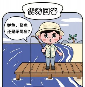 ​养鱼是什么意思网络用语，养鱼专业户网络用语？