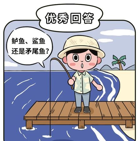 养鱼专业户网络用语