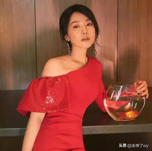 明星的秀之内地影视剧女演员闫妮
