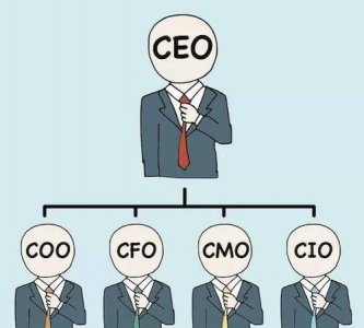 ​coo什么意思,coo是什么意思职责是什么