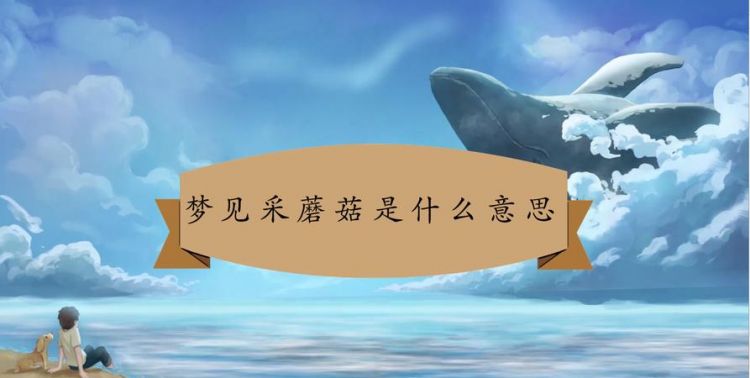 新闻采访的采是什么意思