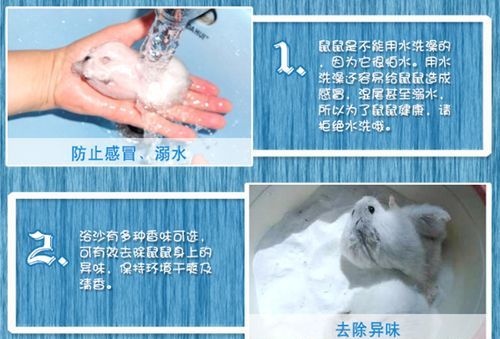 仓鼠吃浴盐会怎么样