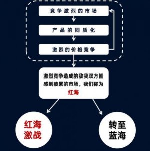 ​什么是红海战略和蓝海战略(什么是红海战略)