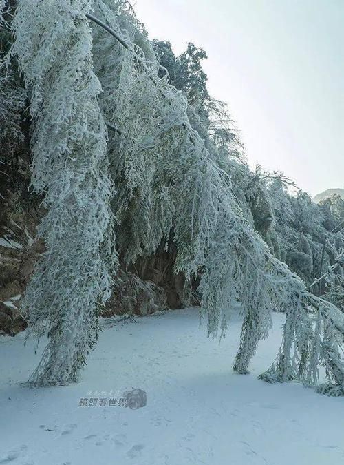 为什么风后暖雪后寒