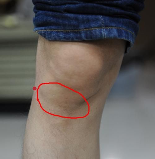 女人的菠萝盖是什么意思