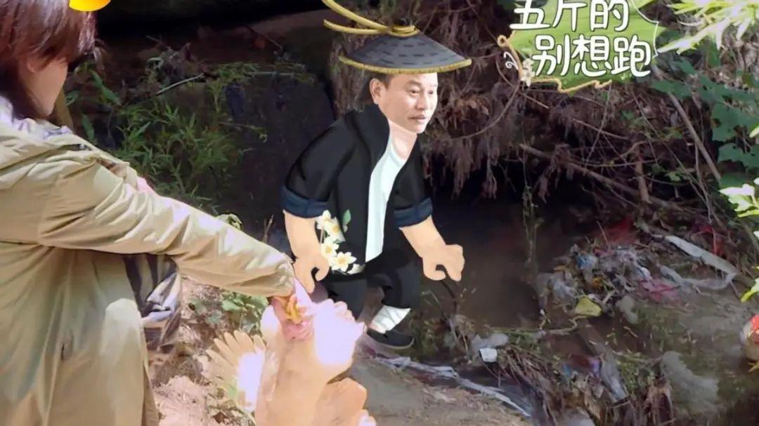 首播就收视第一，《人世间》后，殷桃又在另一个圈子打出了王炸