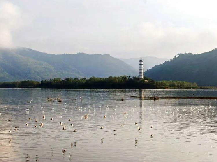 怀化市旅游景点有哪些地方(怀化有什么好玩的旅游景点)