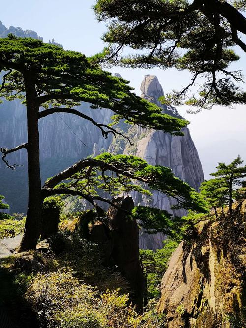 3、第三天：登云门山，在云顶俯瞰整个黄山，看看日出日落和云海奇观。
