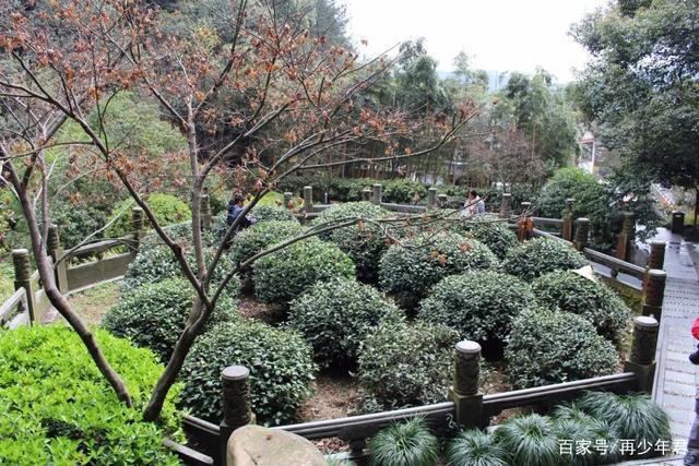 4、杭州龙井天竺休闲度假山庄