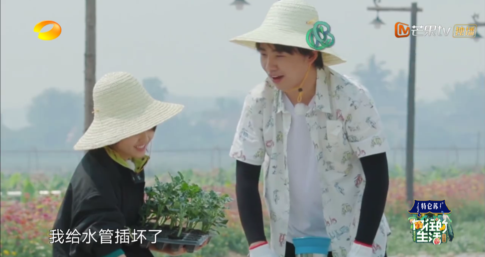 《向往的生活4》张子枫被疑社恐？看书都被骂作秀，喷过了吧？