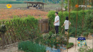《向往的生活4》张子枫被疑社恐？看书都被骂作秀，喷过了吧？