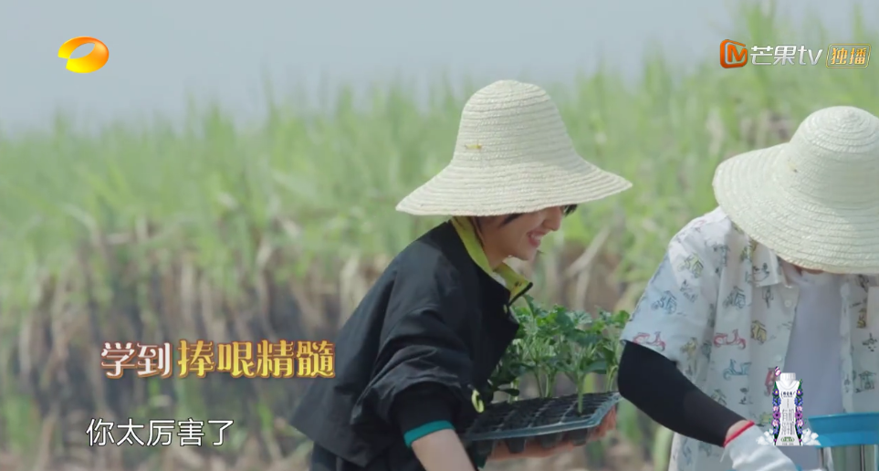 《向往的生活4》张子枫被疑社恐？看书都被骂作秀，喷过了吧？