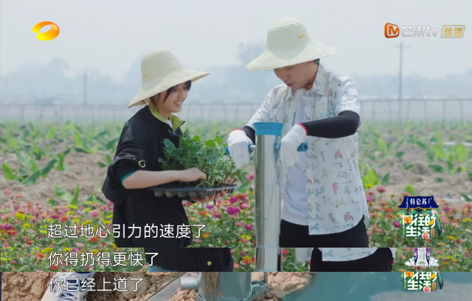 《向往的生活4》张子枫被疑社恐？看书都被骂作秀，喷过了吧？