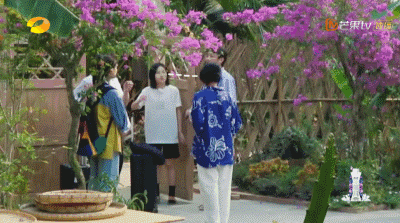 《向往的生活4》张子枫被疑社恐？看书都被骂作秀，喷过了吧？
