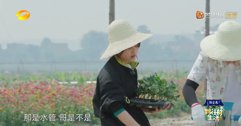 《向往的生活4》张子枫被疑社恐？看书都被骂作秀，喷过了吧？
