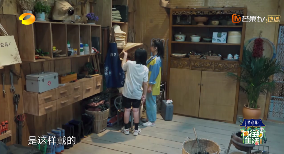 《向往的生活4》张子枫被疑社恐？看书都被骂作秀，喷过了吧？