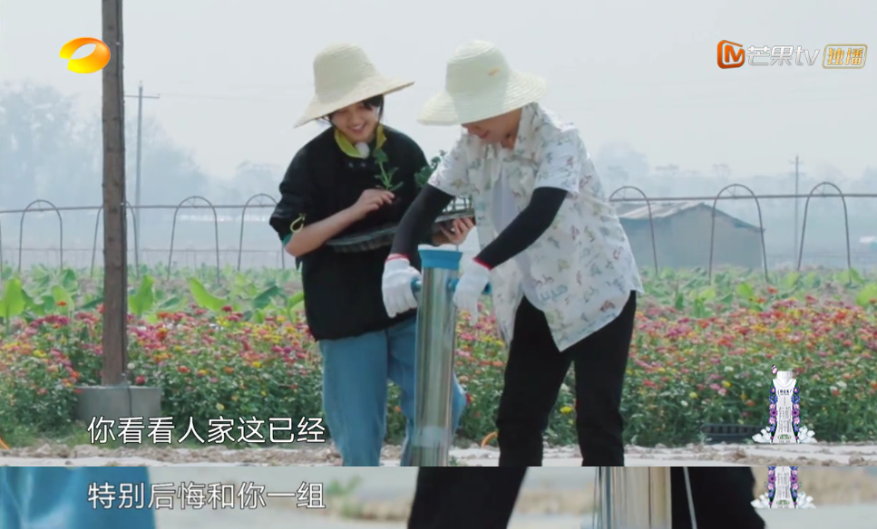 《向往的生活4》张子枫被疑社恐？看书都被骂作秀，喷过了吧？