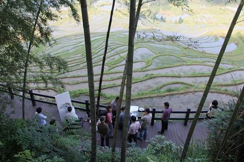 四、田园丽水