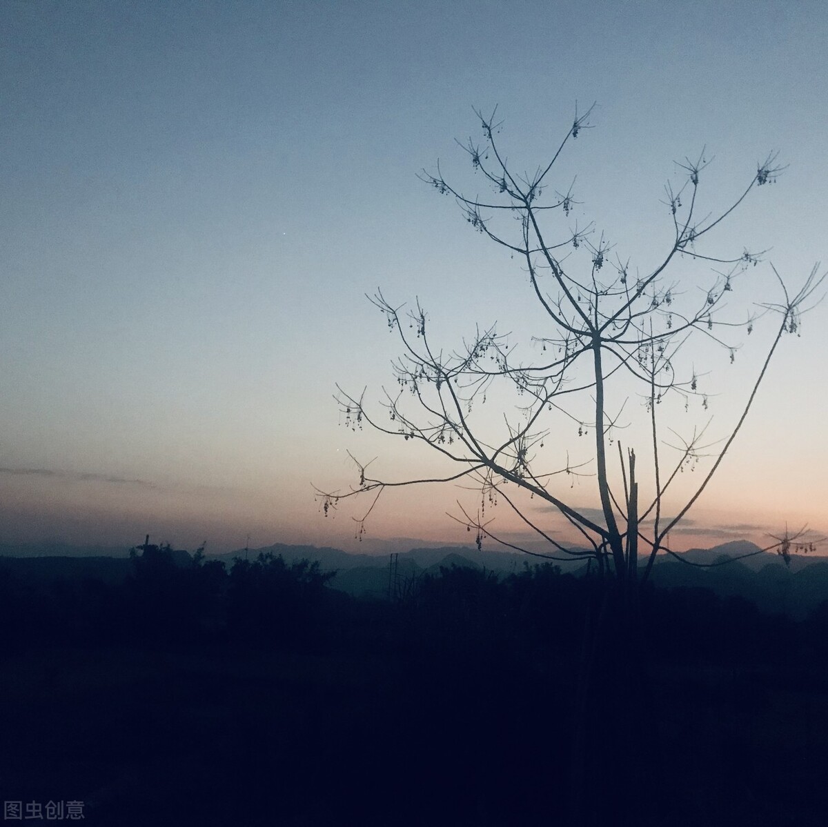 周国平：活得简单，才能活得自由