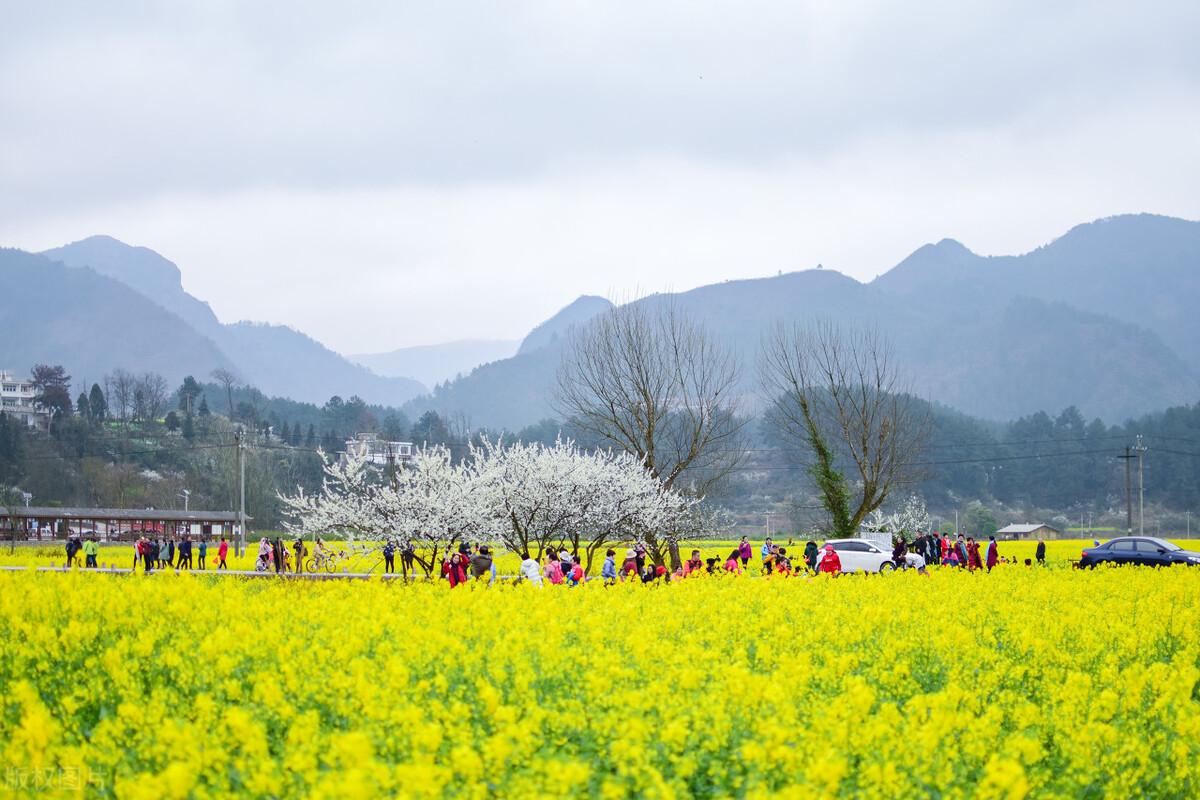 黔南州旅游景点有哪些(黔南旅游必去5个好玩的景点)