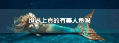 ​世界上有没有美人鱼呢（世界上有没有美人鱼）