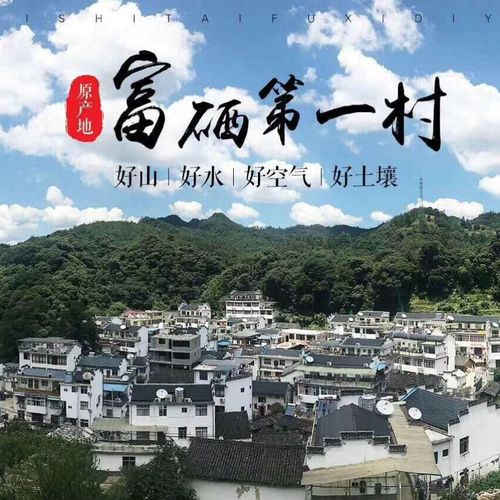 三、大王村