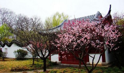 ​花海有什么好玩的景点