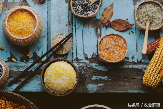 她叫玄子种出谷仁米2天卖出72万，是什么让她的米卖这么好？！
