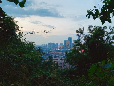 ​广西柳州突然走红！被称为“病毒绕着走”的城市，你想去旅游吗？