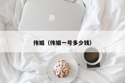 ​伟姐（伟姐一号多少钱）