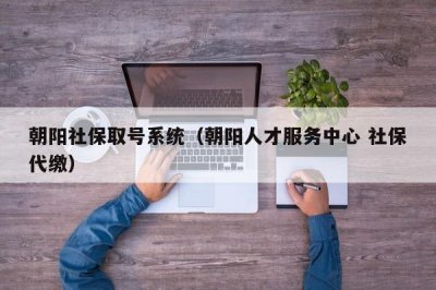 ​朝阳社保取号系统（朝阳人才服务中心 社保代缴）