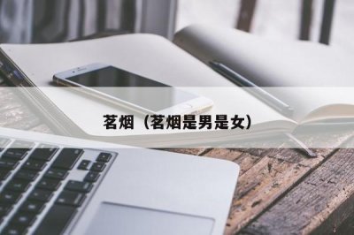 ​茗烟（茗烟是男是女）
