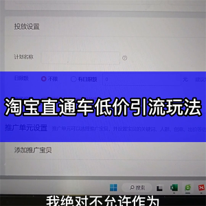 ​淘宝直通车推广怎么收费（淘宝运营多少钱一个月）