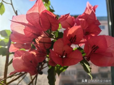 ​善良而平凡的生活,努力追求智慧 平凡的善良是最温暖的感动