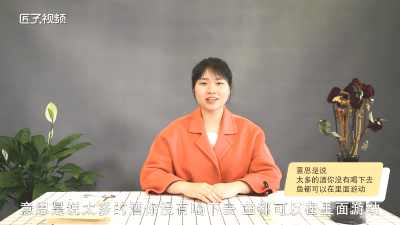 ​喝啤酒养金鱼什么意思 金鱼喝酒吗