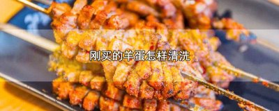 ​羊蛋怎么清理干净 新鲜羊蛋怎么清洗