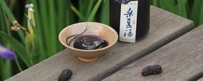 ​4类人群不宜吃桑葚膏 哪些人比较适合吃桑葚膏和红枣