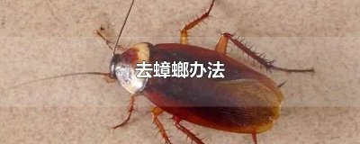 ​怎么可以除掉蟑螂 用什么办法能把蟑螂除掉