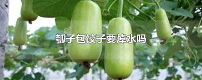 ​白萝卜包饺子用焯水吗用热水焯吗 白萝卜包饺子用焯水吗?