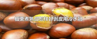 ​刚煮好的板栗怎么处理才好剥皮 板栗煮熟后怎么去皮